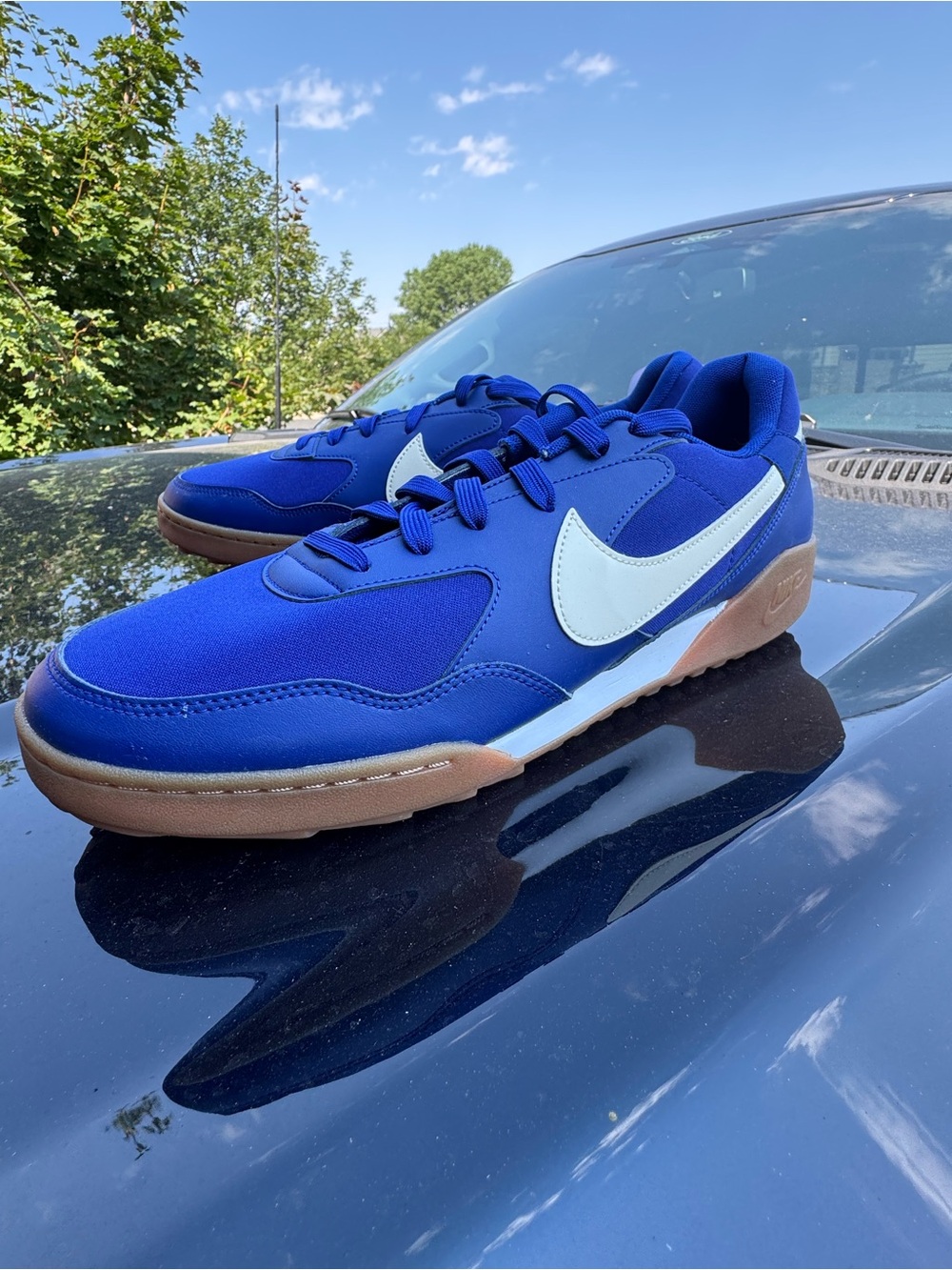 Nike Terra Manta Blue Sneakers with White Swoosh and Gum Sole